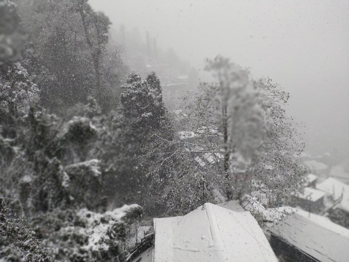 Fraternity Homestay Darjeeling  Esterno foto